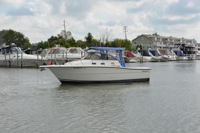 BOATZON | Shamrock 290 Walkaround 2001