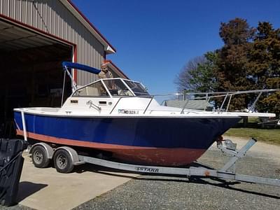 BOATZON | Shamrock Predator 1994