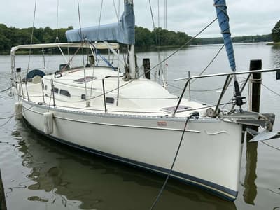 BOATZON | Shannon 2006