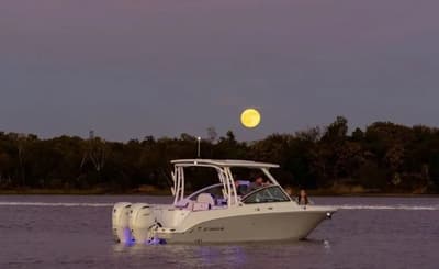 BOATZON | Stingray 26 DCFormerly 259 CC 2027