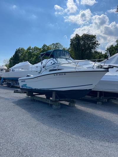 BOATZON | Stratos 21 Walkaround Cuddy 1998 BOATZON | Stratos 21 Walkaround Cuddy 1998