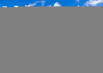 thumbail-icon