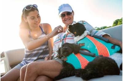 BOATZON | Sun Tracker SportFish  22 DLX 2019