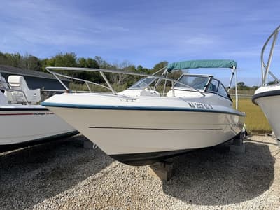BOATZON | Sunbird 19 Neptune 1999