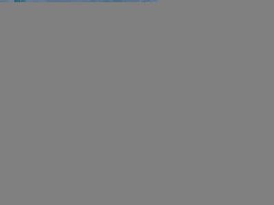 thumbail-icon