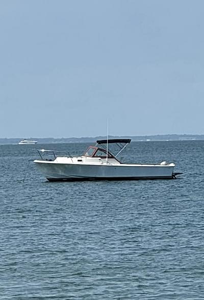 BOATZON | Surf-Hunter 25 1984