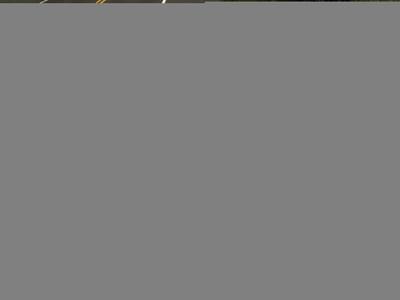 thumbail-icon