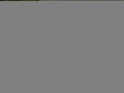 thumbail-icon