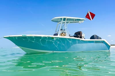 BOATZON | Tidewater 230 CC Adventure 2017