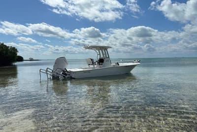 BOATZON | Tidewater 2500 Carolina Bay 2024 BOATZON | Tidewater 2500 Carolina Bay 2024