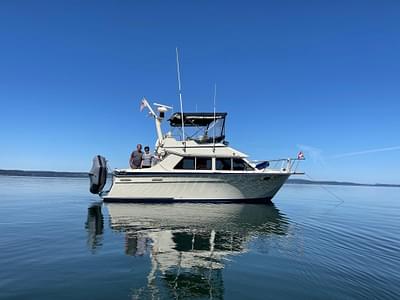 BOATZON | Tollycraft 30 Sport 1988 BOATZON | Tollycraft 30 Sport 1988