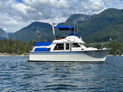 BOATZON | Tollycraft 34 1981