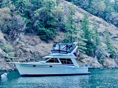 BOATZON | Tollycraft 34 1988