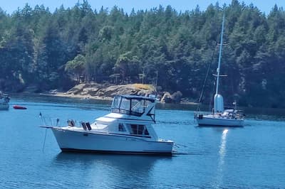 BOATZON | Tollycraft 34 Sport Sedan 1992