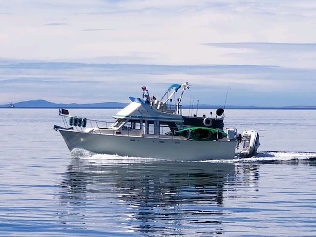 1979 Tollycraft 34 TriCabin - Sold Boat