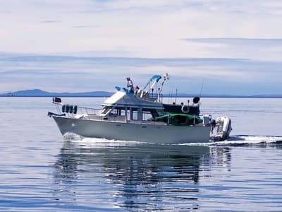 BOATZON | Tollycraft 34 TriCabin Motor Yacht 1979