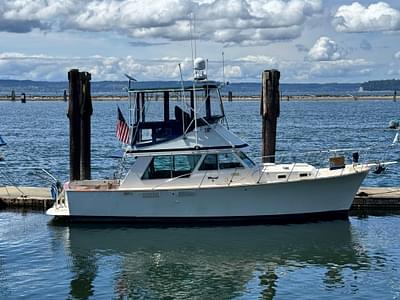 BOATZON | Tollycraft 37 1980 BOATZON | Tollycraft 37 1980
