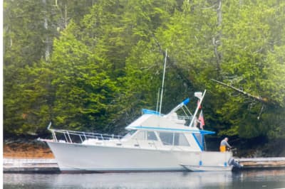 BOATZON | Tollycraft 37 Sedan 1974
