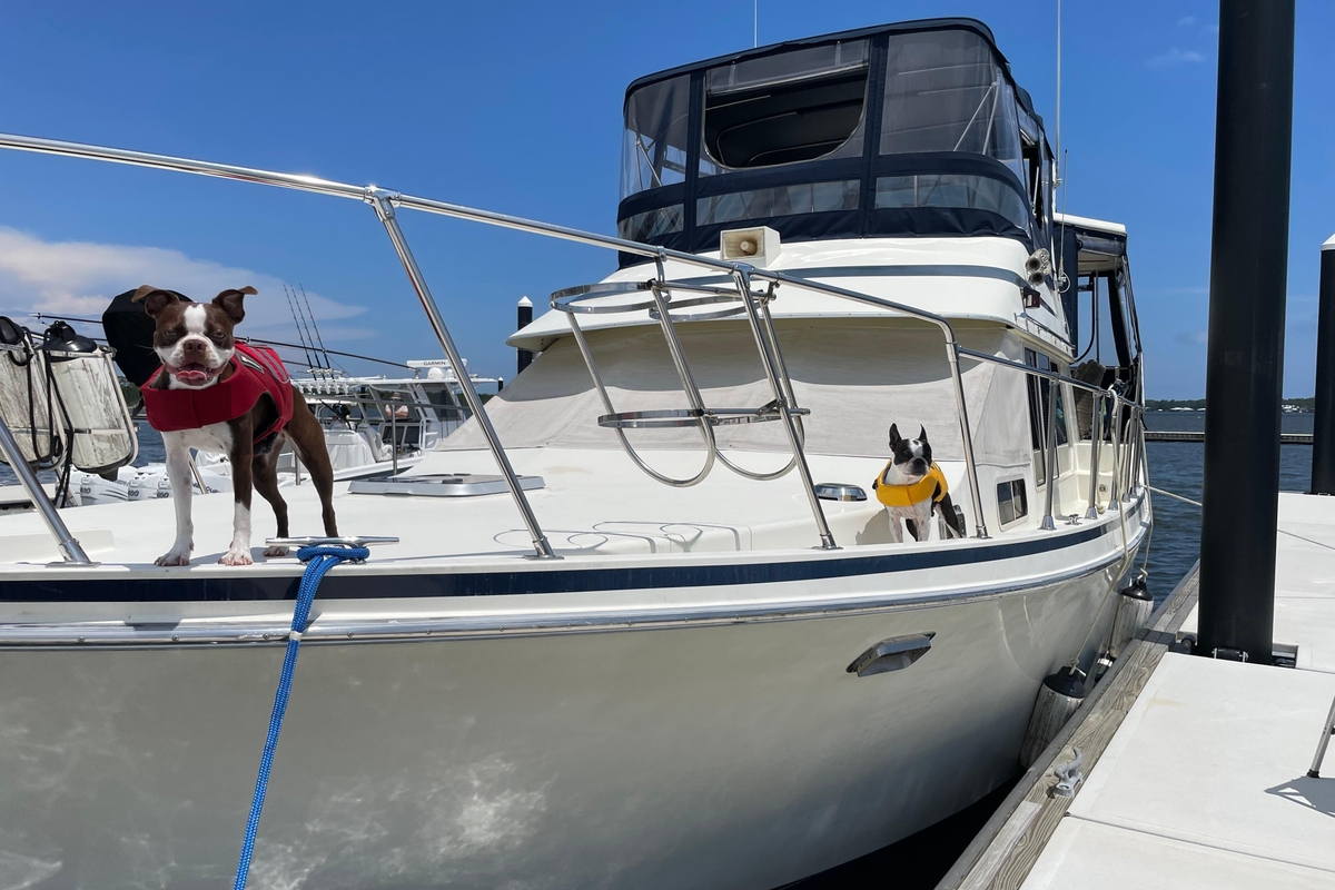 1988 Tollycraft 40 Sundeck Motor Yacht - Sold Boat