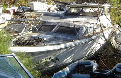 BOATZON | Trojan F26 1975 BOATZON | Trojan F26 1975