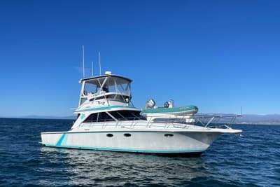 BOATZON | Trojan International 12 Meter Convertible 1988