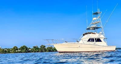 BOATZON | Viking 41 Sportfish 1986
