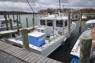 BOATZON | Wayne Beal 36 EXPRESS 2008