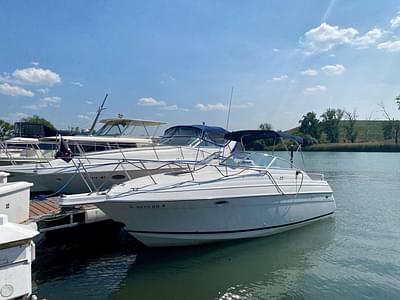 BOATZON | Wellcraft 2400 Martinique 1995 BOATZON | Wellcraft 2400 Martinique 1995