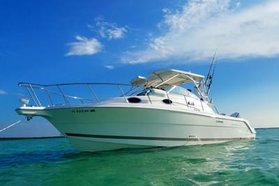 BOATZON | Wellcraft 290 Coastal 2005