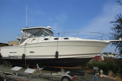BOATZON | Wellcraft 330 Coastal 2000