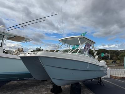 BOATZON | World Cat 230 SD 2026 BOATZON | World Cat 230 SD 2026