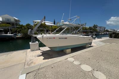 BOATZON | World Cat 246 DC 2002