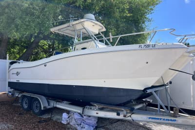 BOATZON | World Cat 246 SF 1999