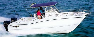 BOATZON | World Cat 246 SF 2001