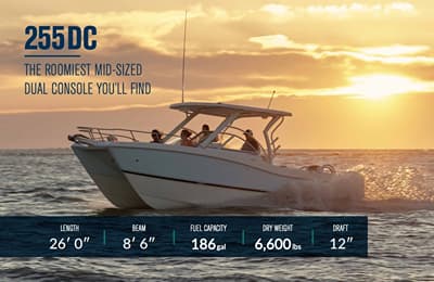 BOATZON | World Cat 255 DC 2013