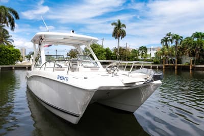 BOATZON | World Cat 255 DC 2021