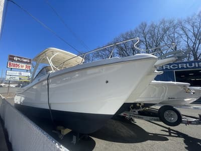 BOATZON | World Cat 255DC 2015