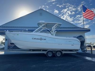 BOATZON | World Cat 255DC 2022