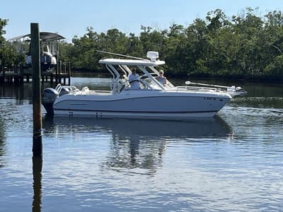 BOATZON | World Cat 255DC 2022 BOATZON | World Cat 255DC 2022