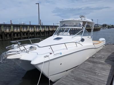BOATZON | World Cat 270 EC 2005