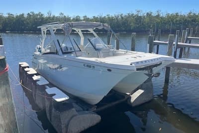 BOATZON | World Cat 280 DCX 2024