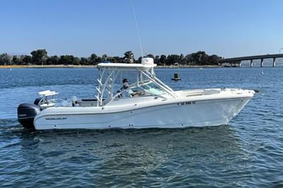 BOATZON | World Cat 295 DC 2017