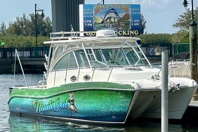 BOATZON | World Cat 320 EC 2014