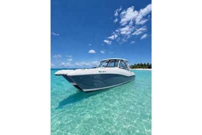 BOATZON | World Cat 325 DC 2022