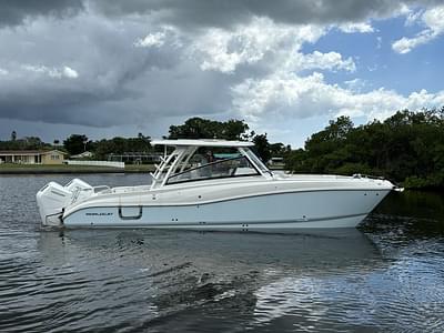 BOATZON | World Cat 325DC 2024