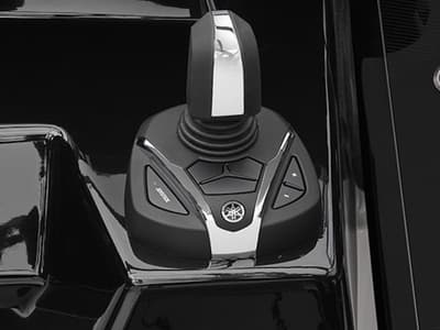 thumbail-icon