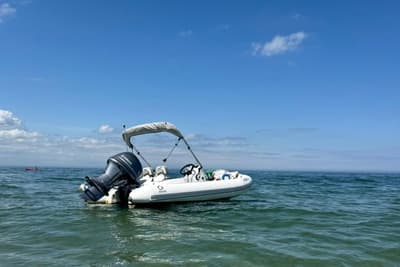 BOATZON | Zodiac Yachtline 440 2024