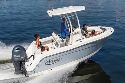 BOATZON | 2025 Robalo Explorer R222EX BOATZON | 2025 Robalo Explorer R222EX