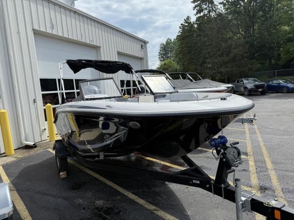2025 Bayliner ELEMENT E17 - Sold Boat