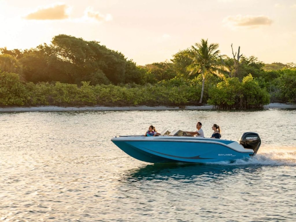 2025 Bayliner M17 - Sold Boat